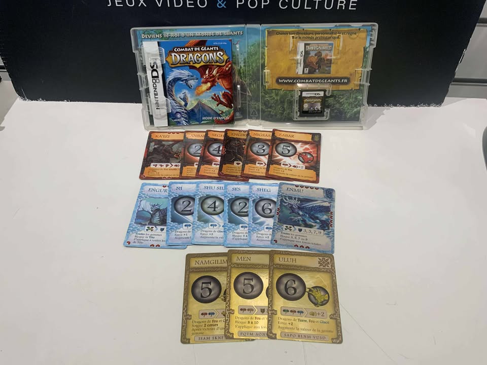 Combat de Géants : Dragons Nintendo DSN