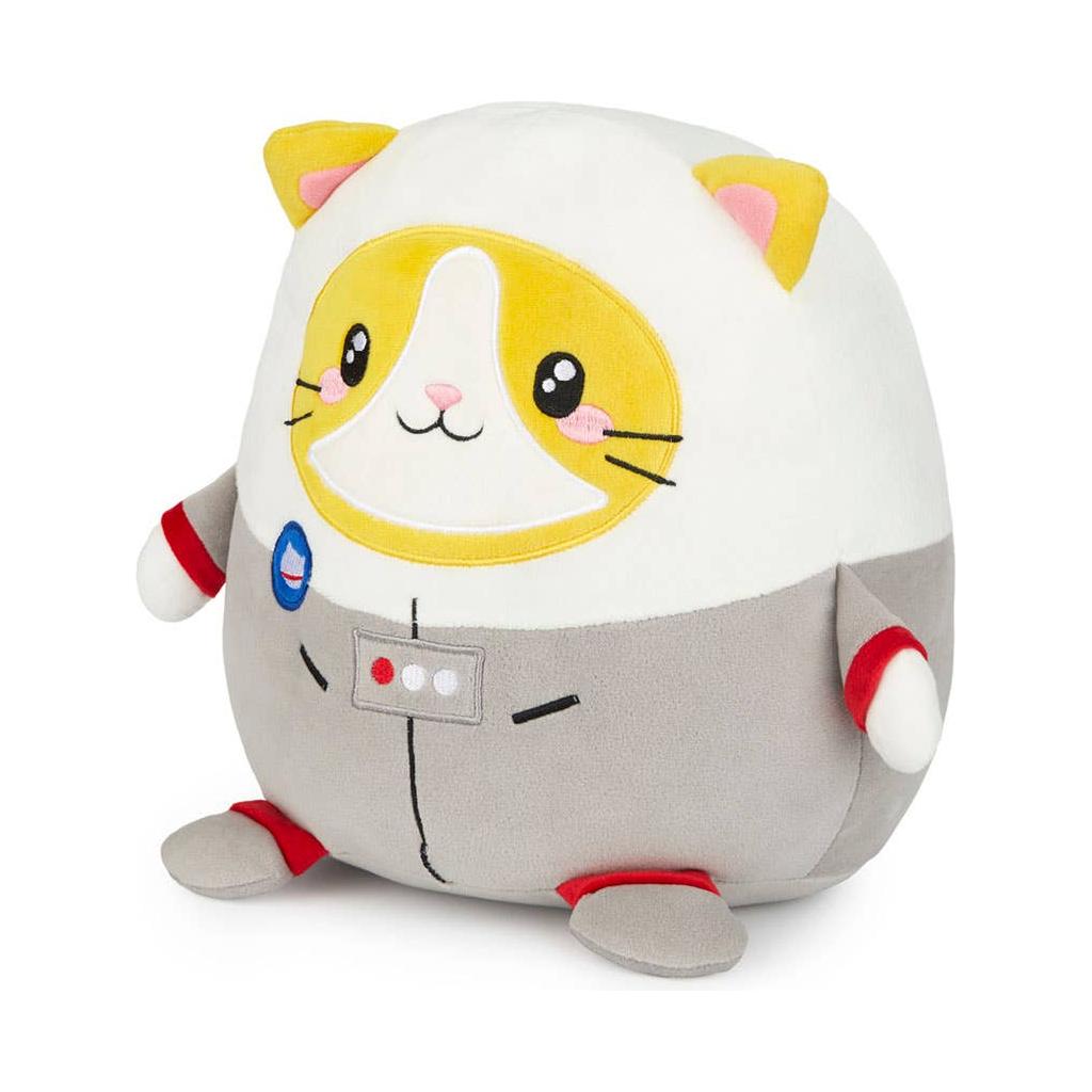 Coussin chat astrocat